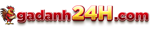 GADANH24H