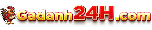 GADANH24H